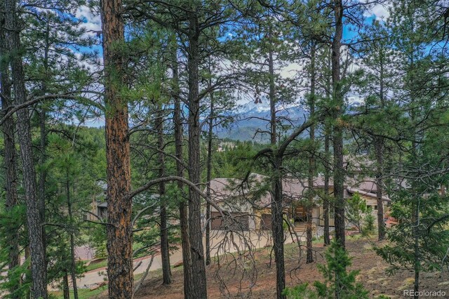 270 Thunder Ridge Dr, Woodland Park, CO 80863