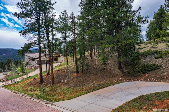 270 Thunder Ridge Dr, Woodland Park, CO 80863