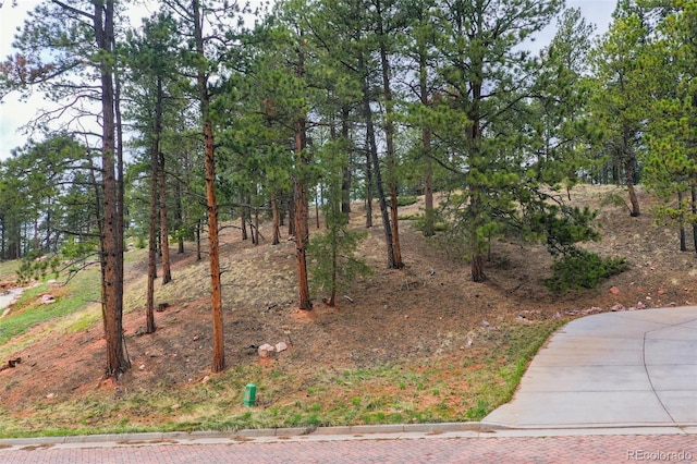 270 Thunder Ridge Dr, Woodland Park, CO 80863