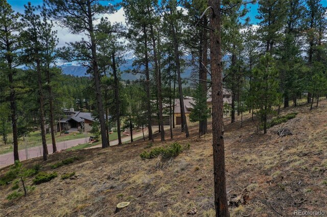 270 Thunder Ridge Dr, Woodland Park, CO 80863