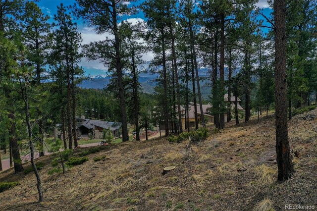 270 Thunder Ridge Dr, Woodland Park, CO 80863