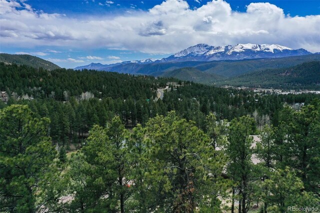 270 Thunder Ridge Dr, Woodland Park, CO 80863