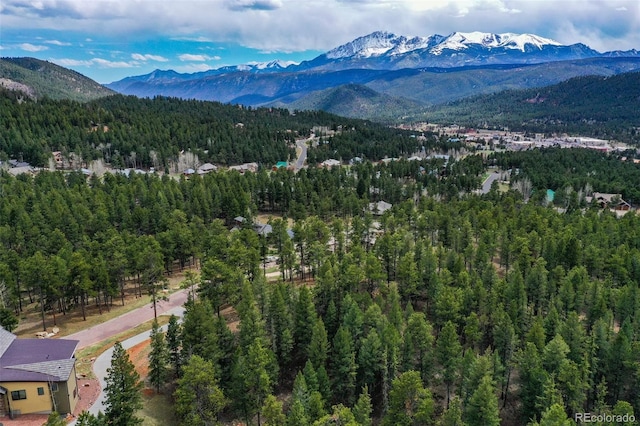 270 Thunder Ridge Dr, Woodland Park, CO 80863