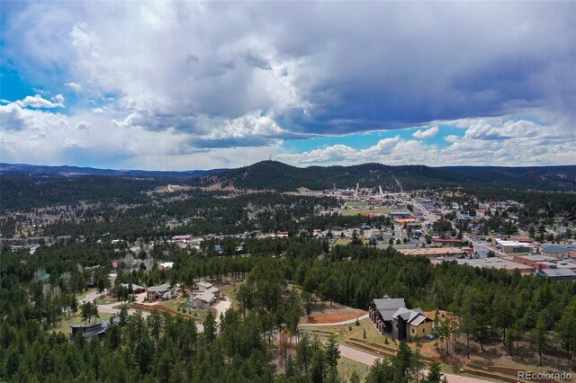 270 Thunder Ridge Dr, Woodland Park, CO 80863