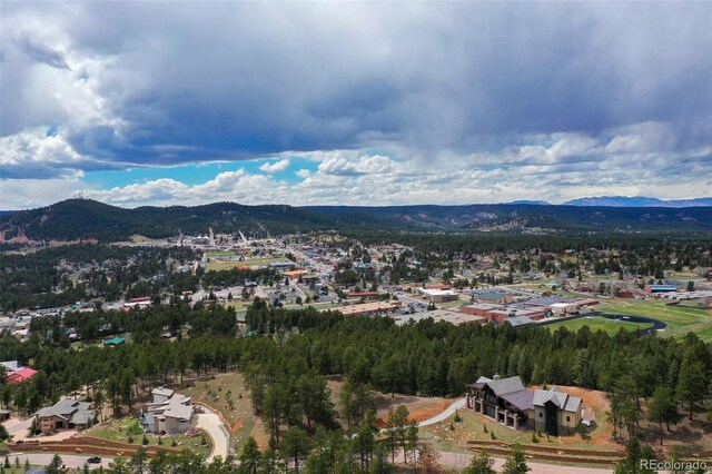 270 Thunder Ridge Dr, Woodland Park, CO 80863