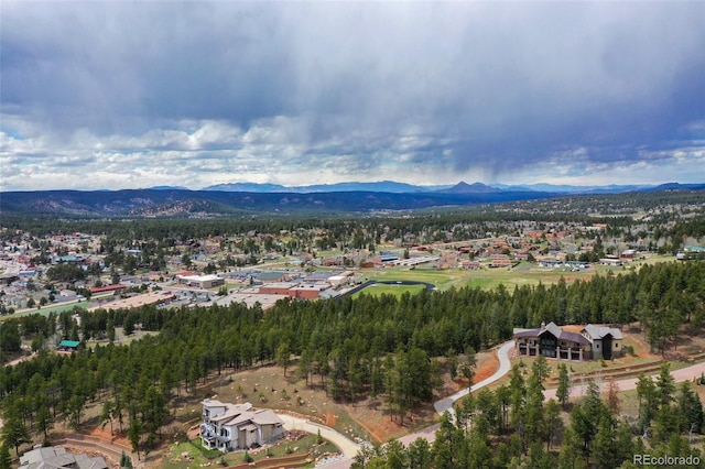 270 Thunder Ridge Dr, Woodland Park, CO 80863