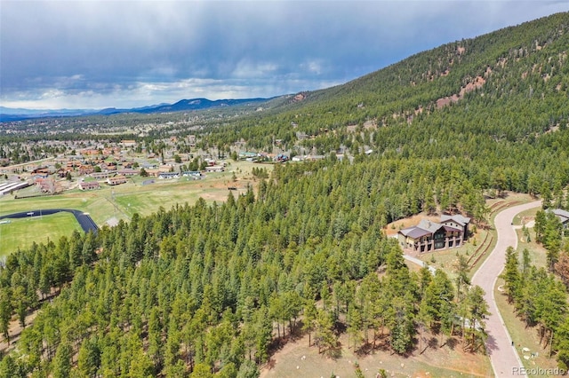 270 Thunder Ridge Dr, Woodland Park, CO 80863