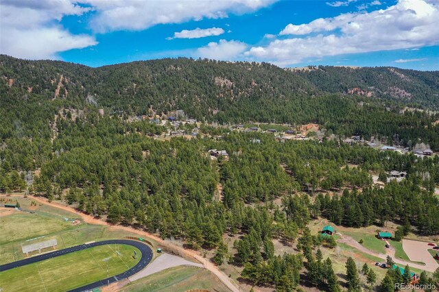 270 Thunder Ridge Dr, Woodland Park, CO 80863