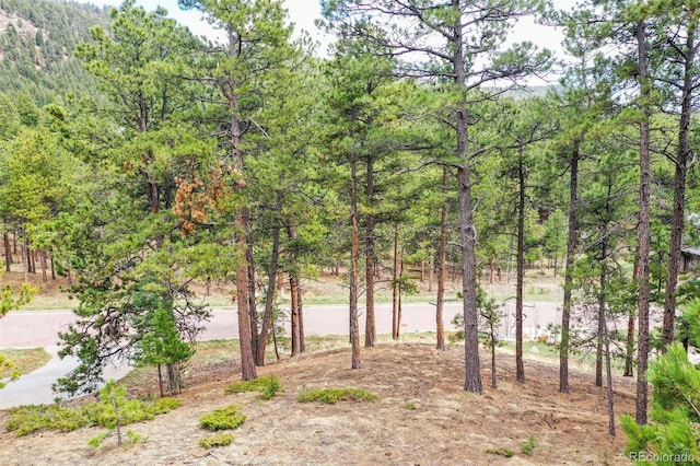 270 Thunder Ridge Dr, Woodland Park, CO 80863