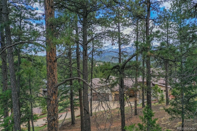 270 Thunder Ridge Dr, Woodland Park, CO 80863