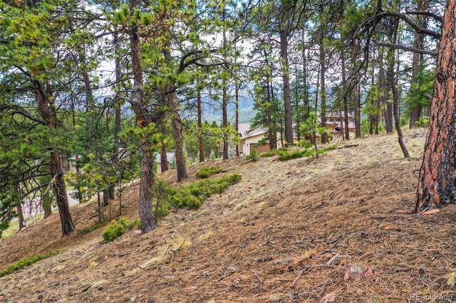 270 Thunder Ridge Dr, Woodland Park, CO 80863