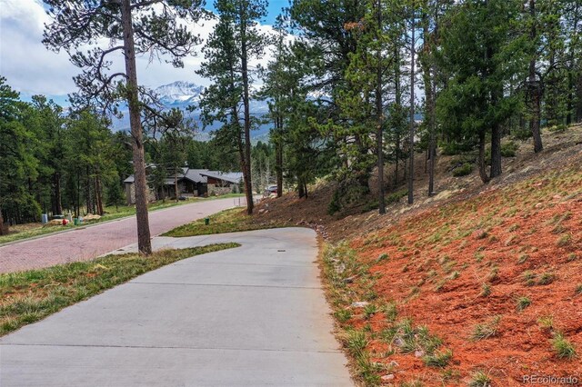 270 Thunder Ridge Dr, Woodland Park, CO 80863