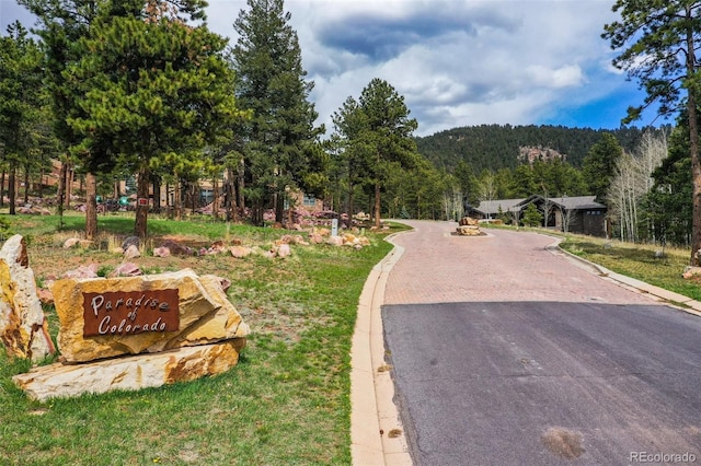 270 Thunder Ridge Dr, Woodland Park, CO 80863