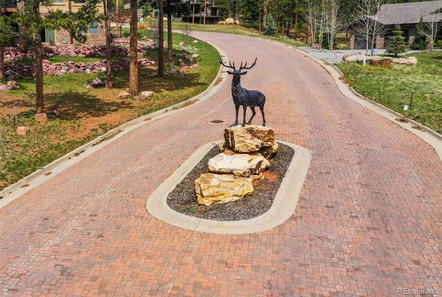 270 Thunder Ridge Dr, Woodland Park, CO 80863