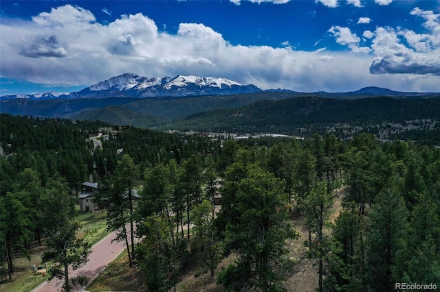 270 Thunder Ridge Dr, Woodland Park, CO 80863