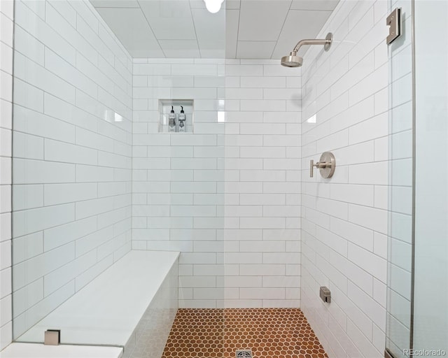 133 Mine Ln, Boulder, CO 80302 - bathroom with tiled shower