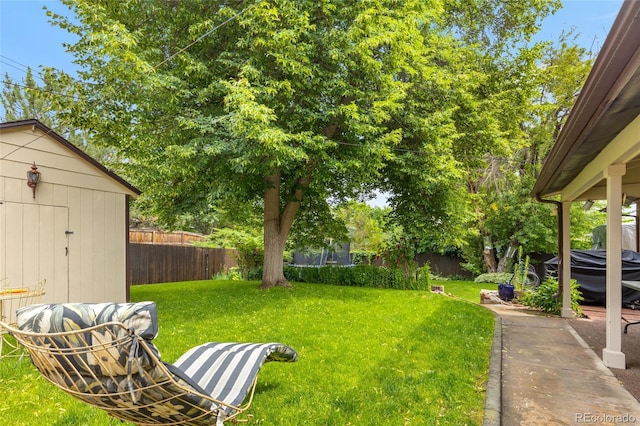 2876 S Wolff St, Denver, CO 80236 - fenced backyard with a storage unit