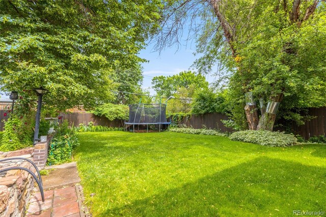 2876 S Wolff St, Denver, CO 80236 - fenced backyard with a trampoline