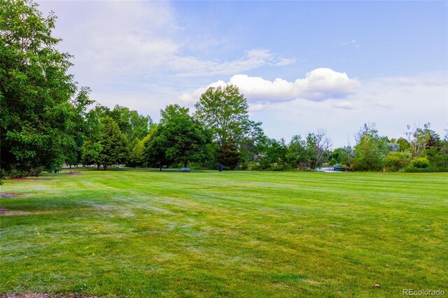 2876 S Wolff St, Denver, CO 80236 - view of grassy yard featuring view of scattered trees