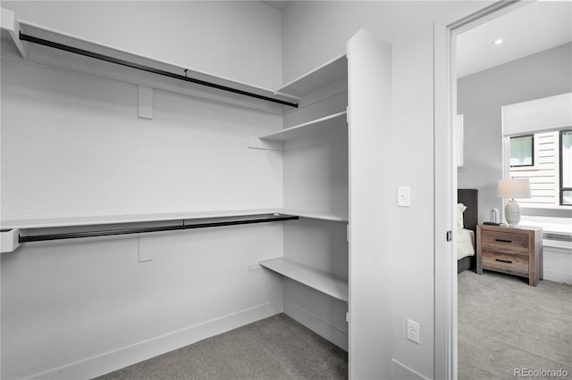 spacious closet with light carpet