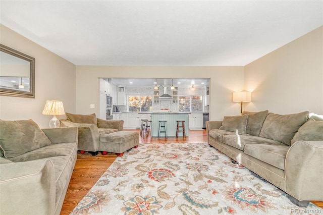 living room with light hardwood / wood-style flooring