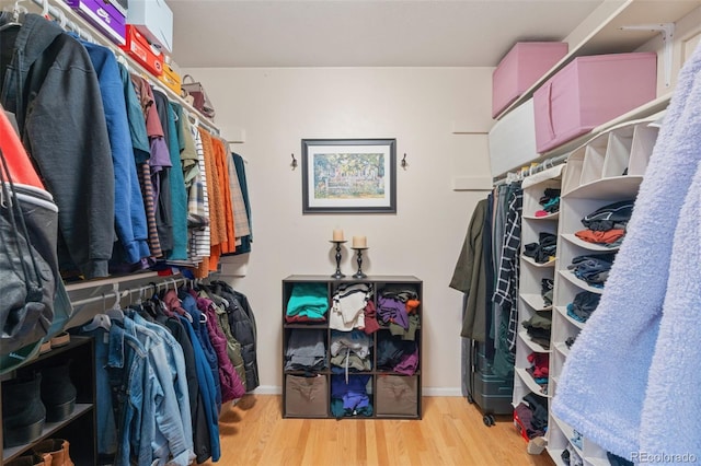 walk in closet featuring light hardwood / wood-style flooring