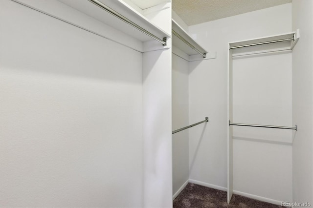 7275 S Gaylord St Unit I09, Littleton, CO 80122 - spacious closet featuring dark carpet
