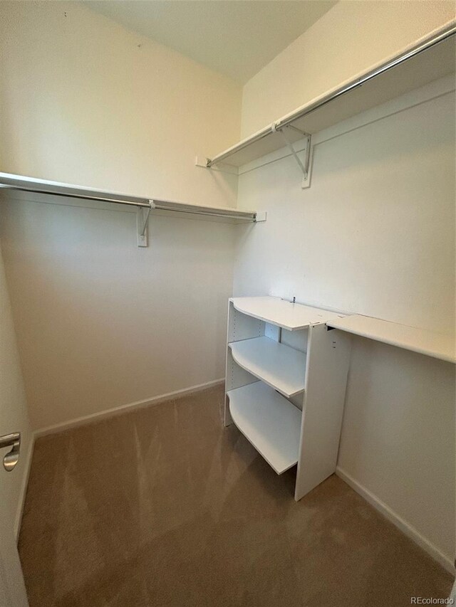 11207 Osage Cir Unit B, Northglenn, CO 80234 - spacious closet with dark colored carpet