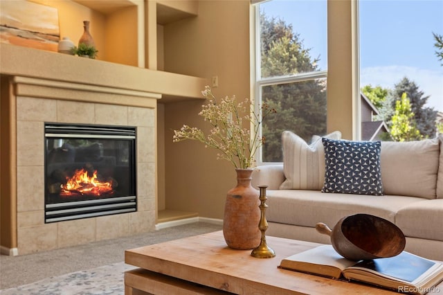 2121 Harvest St, Fort Collins, CO 80528 - photo 8