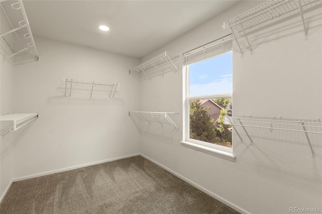2121 Harvest St, Fort Collins, CO 80528 - photo 20