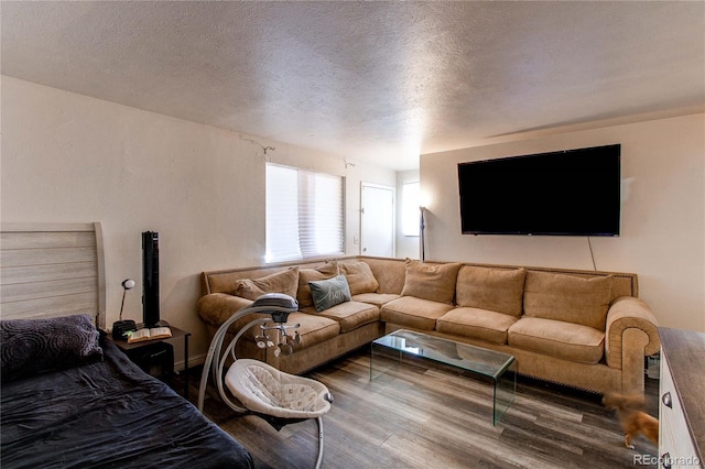 living room with a textured ceiling and wood finished floors