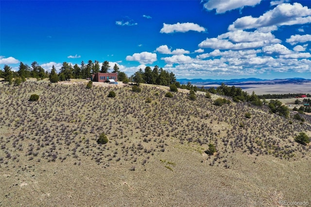 147 Sulky Ct, Hartsel, CO 80449 - mountain view