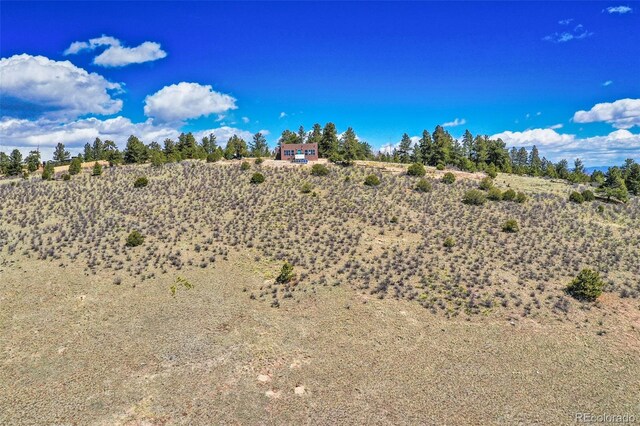 147 Sulky Ct, Hartsel, CO 80449 - view of nature