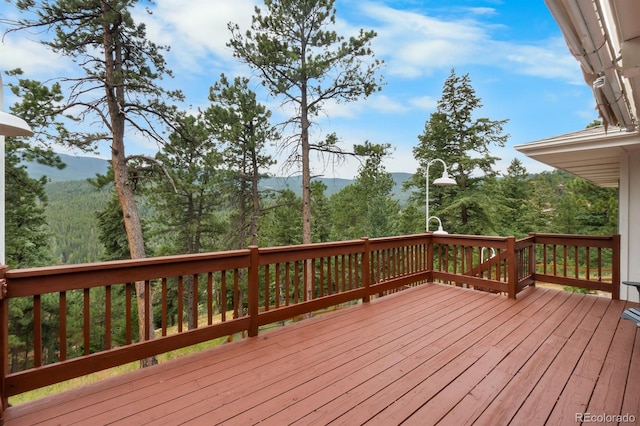 32512 Lodgepole Dr, Evergreen, CO 80439 - photo 38
