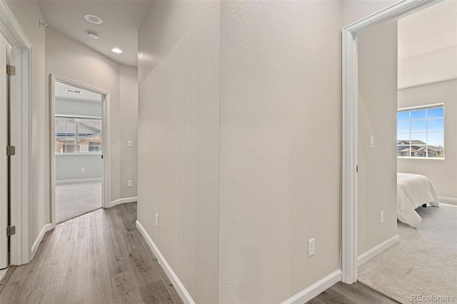 hall featuring hardwood / wood-style floors and a healthy amount of sunlight