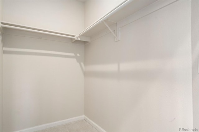 spacious closet featuring carpet