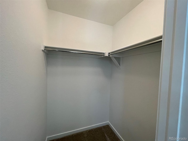 972 High Point Trl, Elizabeth, CO 80107 - photo 19