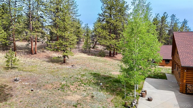 209 Haystack Rd, Hartsel, CO 80449 - view of yard featuring a patio