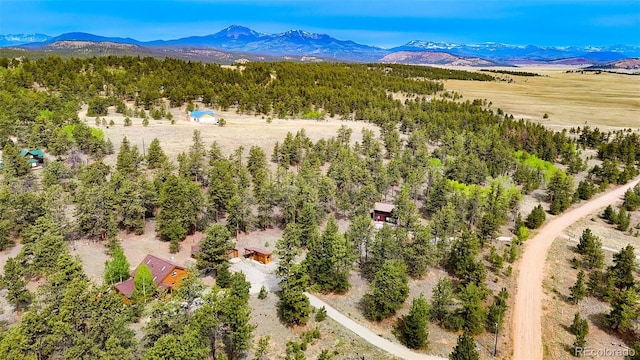 209 Haystack Rd, Hartsel, CO 80449 - overview of rural landscape with a mountain backdrop