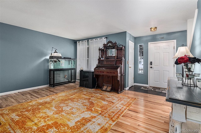 foyer featuring hardwood / wood-style floors