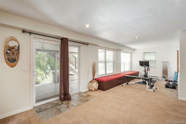 2105 Baguette Dr, Castle Rock, CO 80108 - workout room with carpet flooring, recessed lighting, and a baseboard radiator
