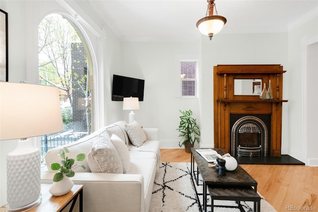 3147 Vallejo St, Denver, CO 80211 - living area with a fireplace with raised hearth, wood finished floors, baseboards, and crown molding