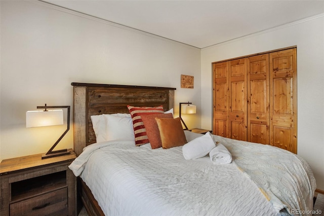 517 Crystal Peak Rd, Florissant, CO 80816 - bedroom featuring a closet