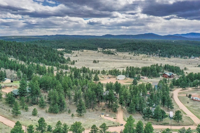 517 Crystal Peak Rd, Florissant, CO 80816 - view of mountain background with rural landscape