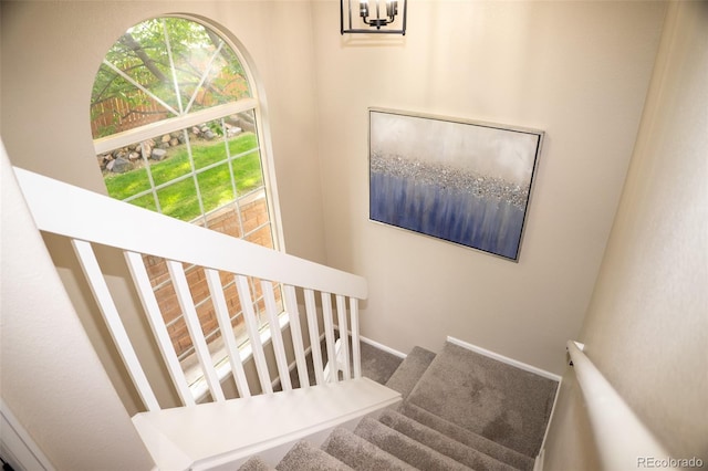 6845 S Webster St Unit E, Littleton, CO 80128 - stairs with carpet floors and a chandelier