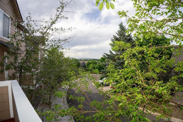 6845 S Webster St Unit E, Littleton, CO 80128 - view of yard