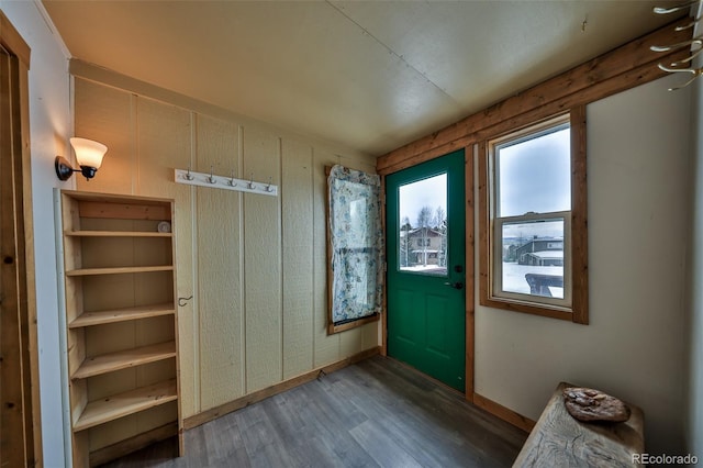 entryway with dark hardwood / wood-style flooring