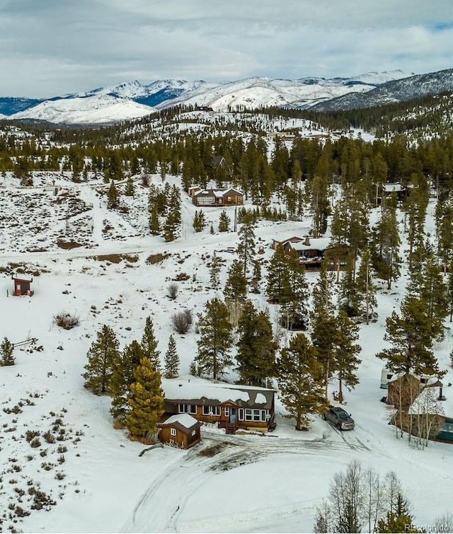 snowy aerial view featuring a mountain view