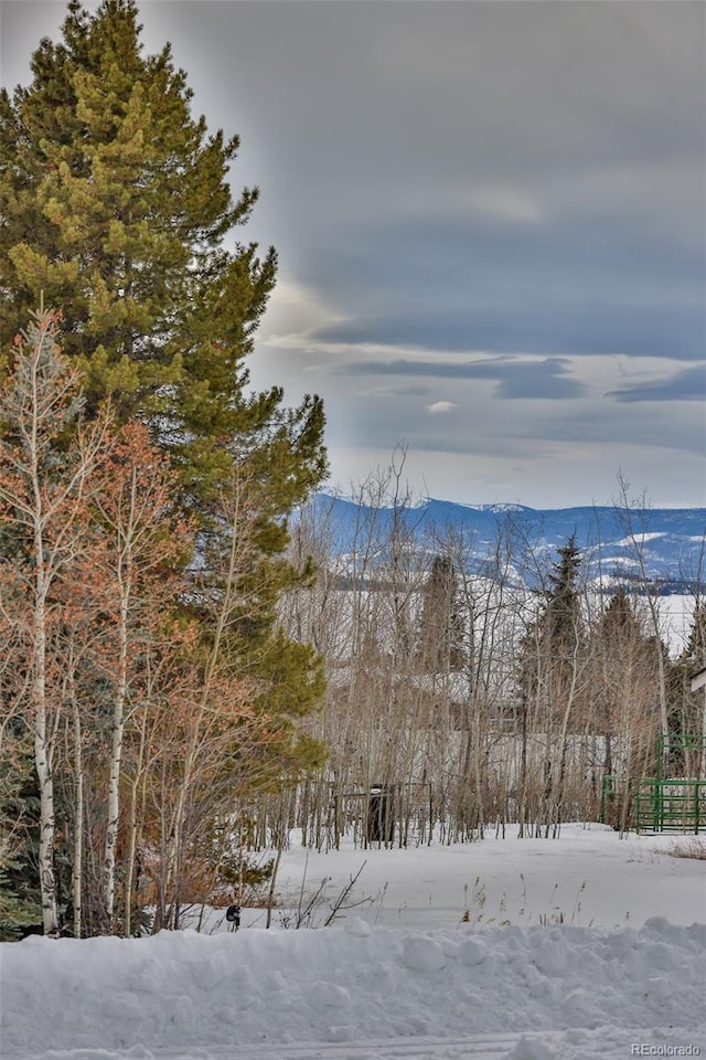 property view of mountains