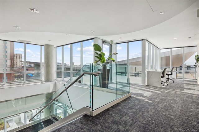 interior space featuring carpet and a healthy amount of sunlight